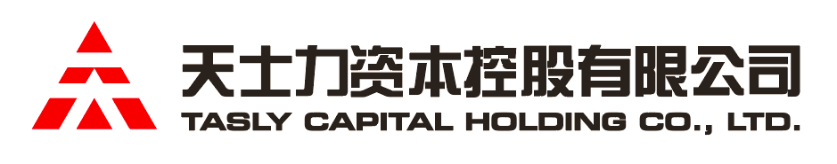 玖鼎集团资本控股有限公司